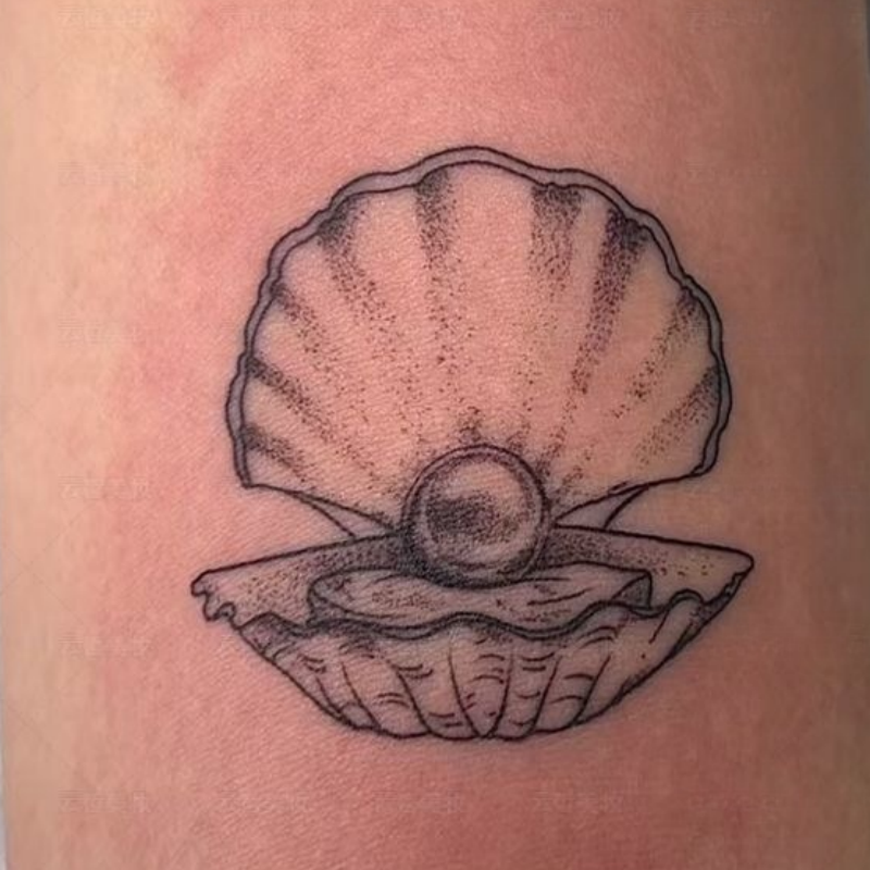 Shell pattern tattoo cute girl wrist plant tattoo waterproof tattoo ...