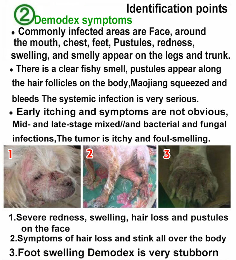 Image showcasing One spray to solve skin problems dog spray for skin disease Safe and ...