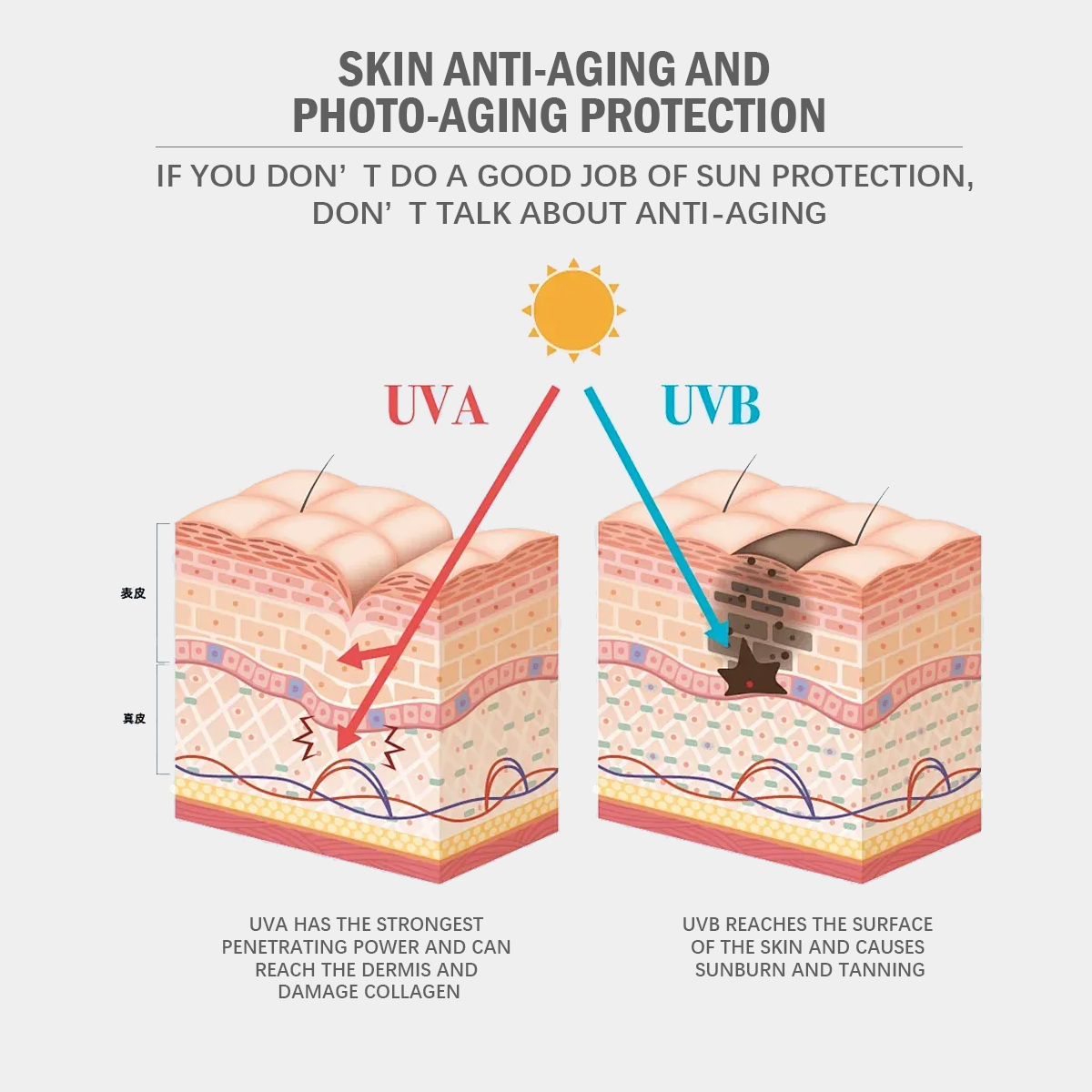 FDA approved WORADA Face Sunscreen Whitening SPF 60 and SPF 50 PA++ ...