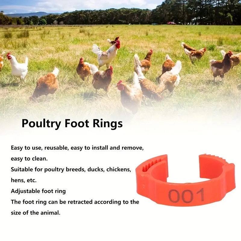 100PCS Chicken Foot Ring Inner Diameter 2mm to 2.4cm Colorful Readable ...