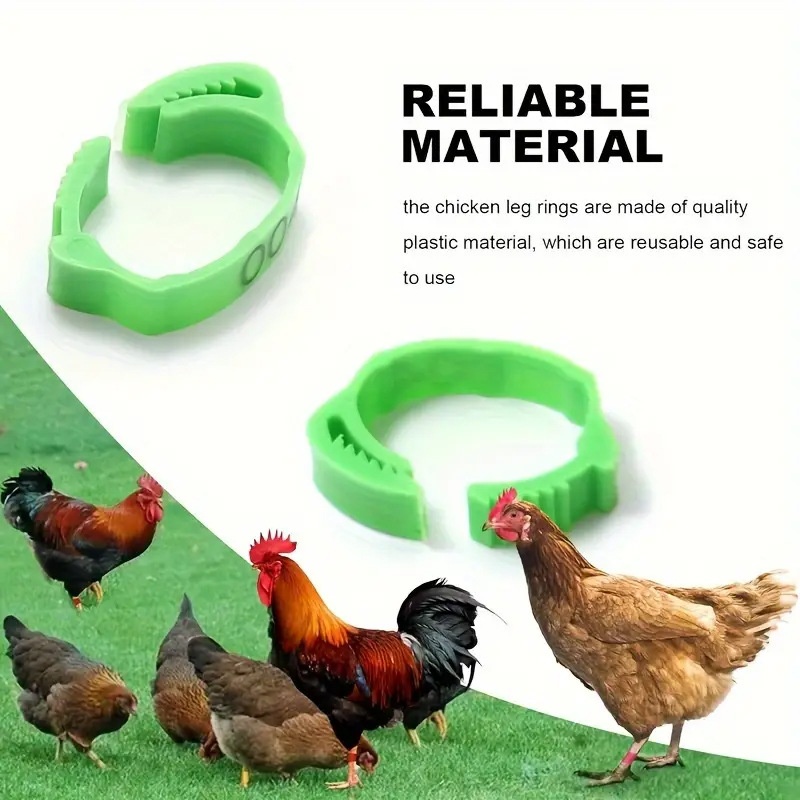 100PCS Chicken Foot Ring Inner Diameter 2mm to 2.4cm Colorful Readable ...