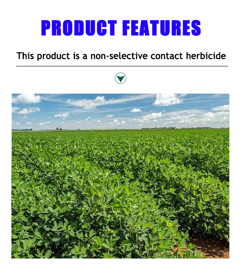 Kill grass herbicide DPP Herbicide grass killer Herbicide for grass killer Demolition herbicide