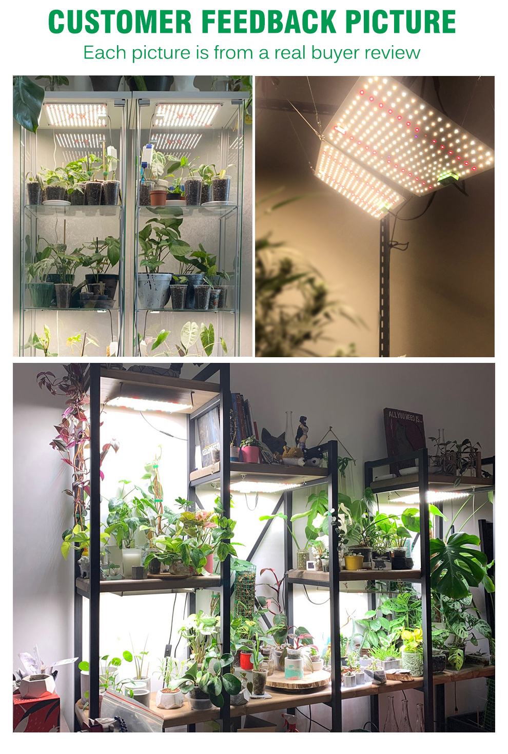 LED Grow Light LM281B Quantum UV&IR Chip 650W 100W 1500w Full Spectrum ...