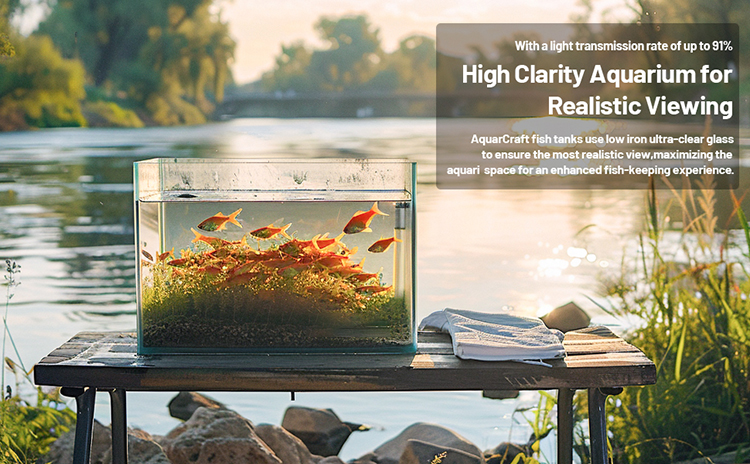 Fresh Look at Aquarium Glass Fish Tank Easy To Maintain Ultra Clear Borderless