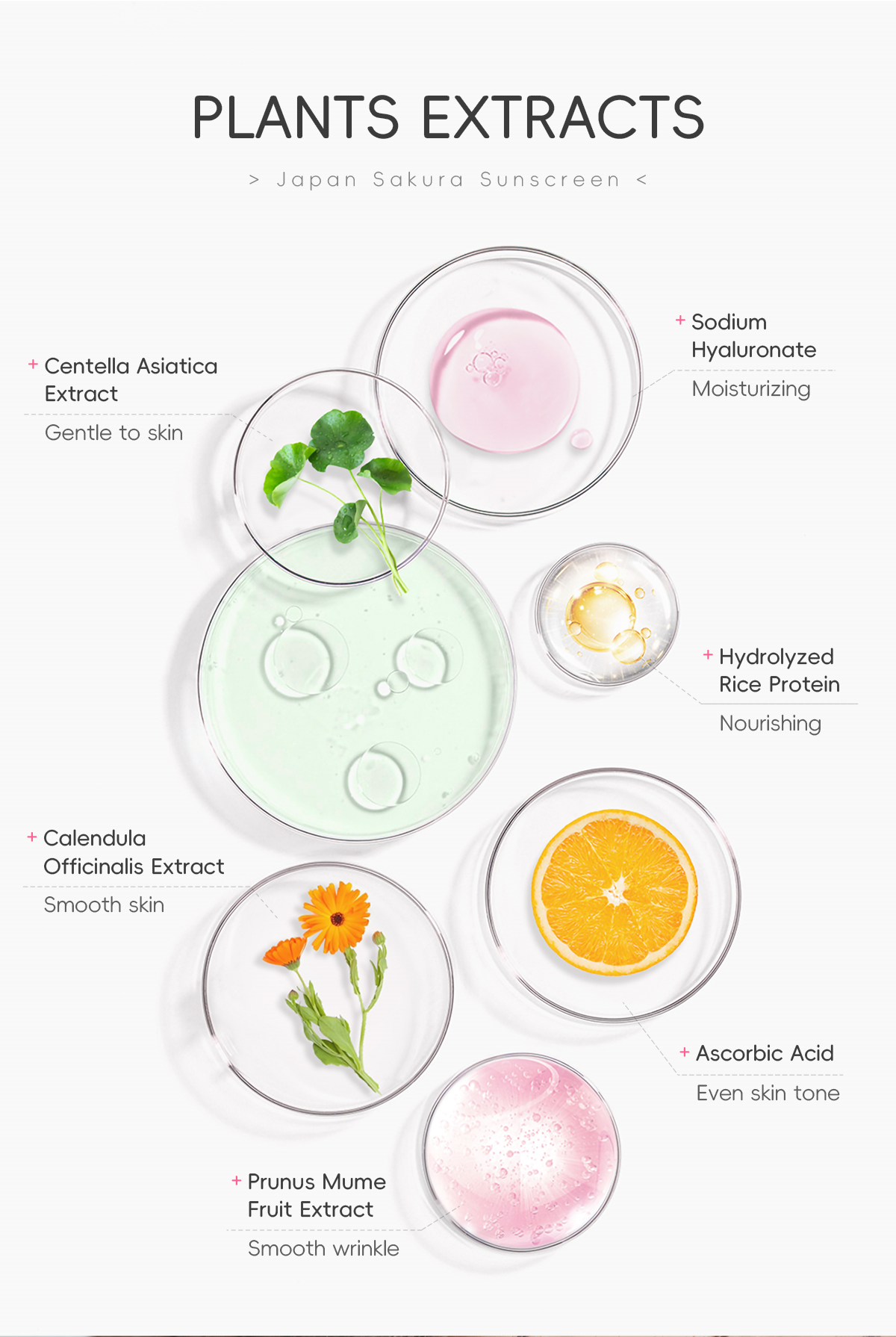 LAIKOU Japan Sakura Sunblock Face Sunscreen Lotion 30g*2Pcs SPF 50 PA ...