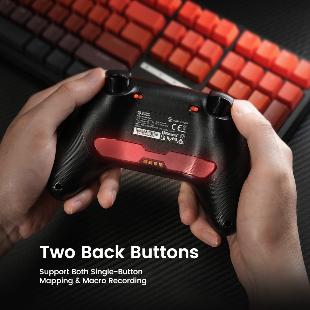 GameSir Nova 2 Lite Gamepads PC Switch 2 Gaming Controller for Nintendo ...