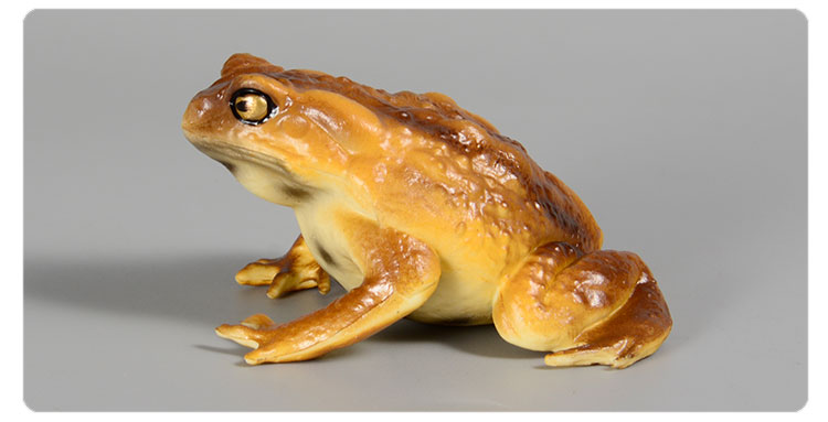 Realistic Toad Frog Figure Plastic Hand Painted Wild Animal Insects ...