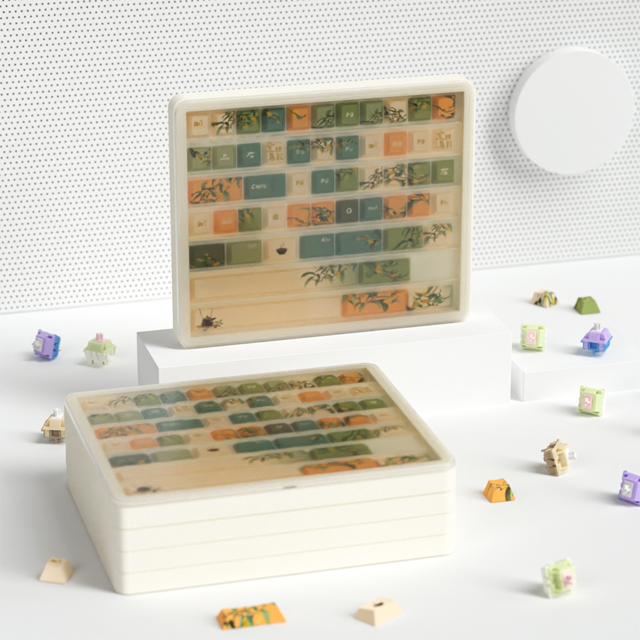 Mechanical Keyboard Keycap Storage Box | Plastic Dustproof Display Case ...