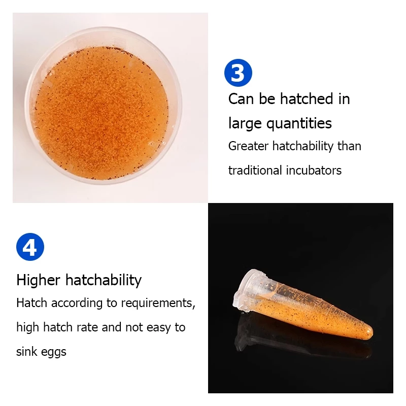 Brine Shrimp Larvae Hatching Kit For Aquariums Bbs Hatching Kit For ...
