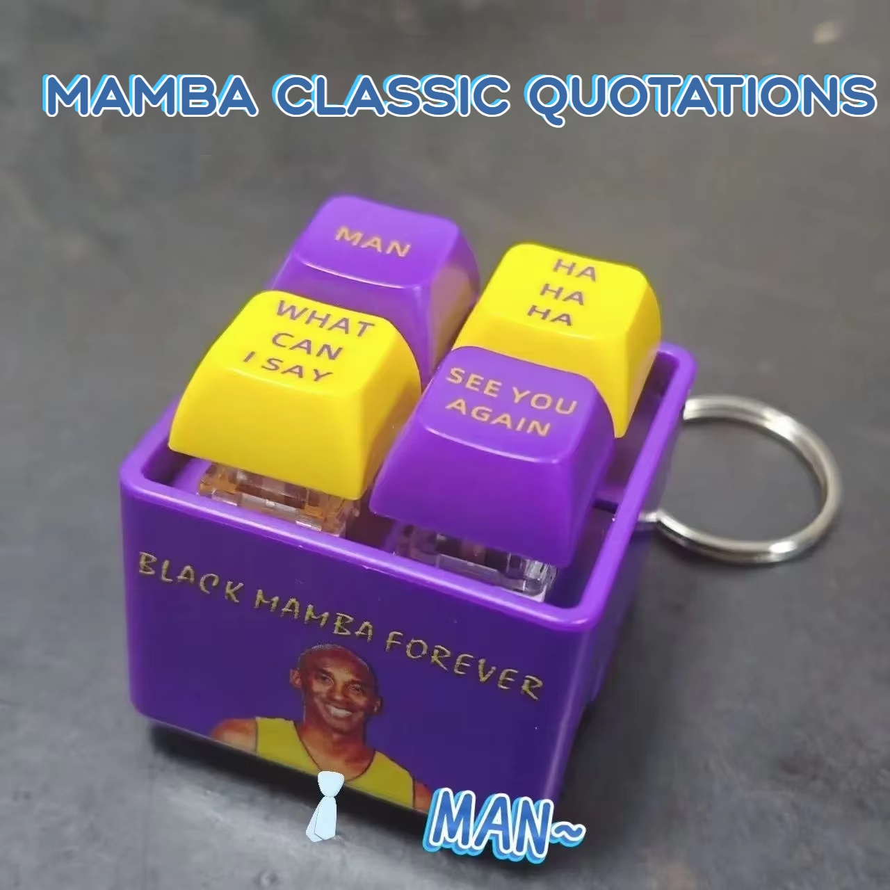 EGPWS 737 Warning Sound Airplane Emergency Alert Keychains Black Mamba ...