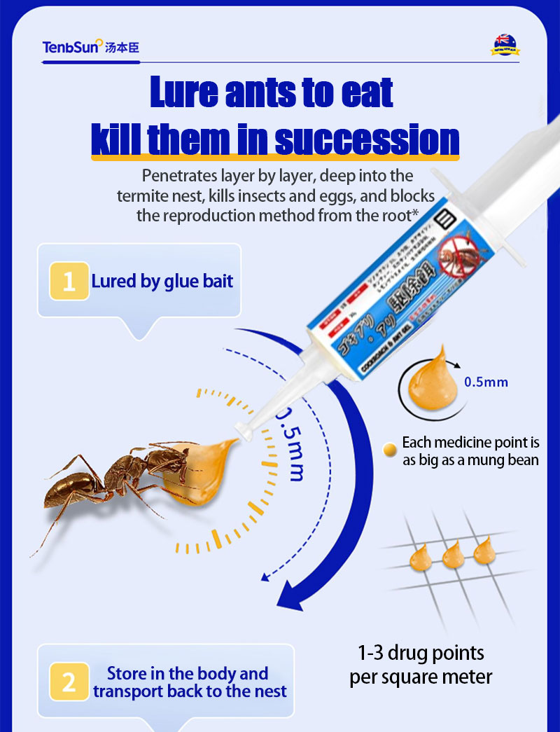 Powerful killing of ant nests KAMI Ant bait killer Anti ants killer Ant ...