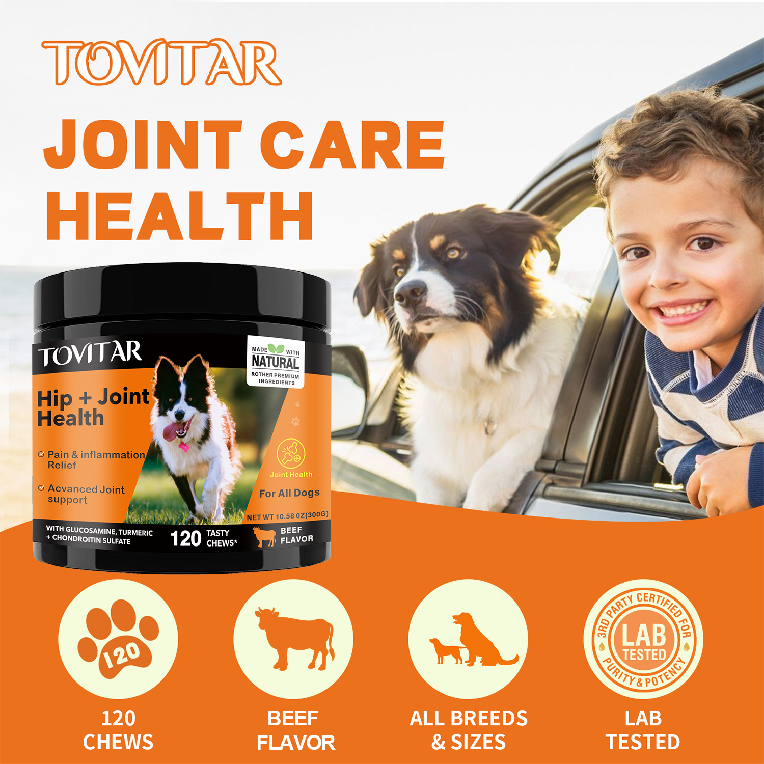 Tovitar® Hip & Joint Chews Functional Dog Treats Support Mobility ...
