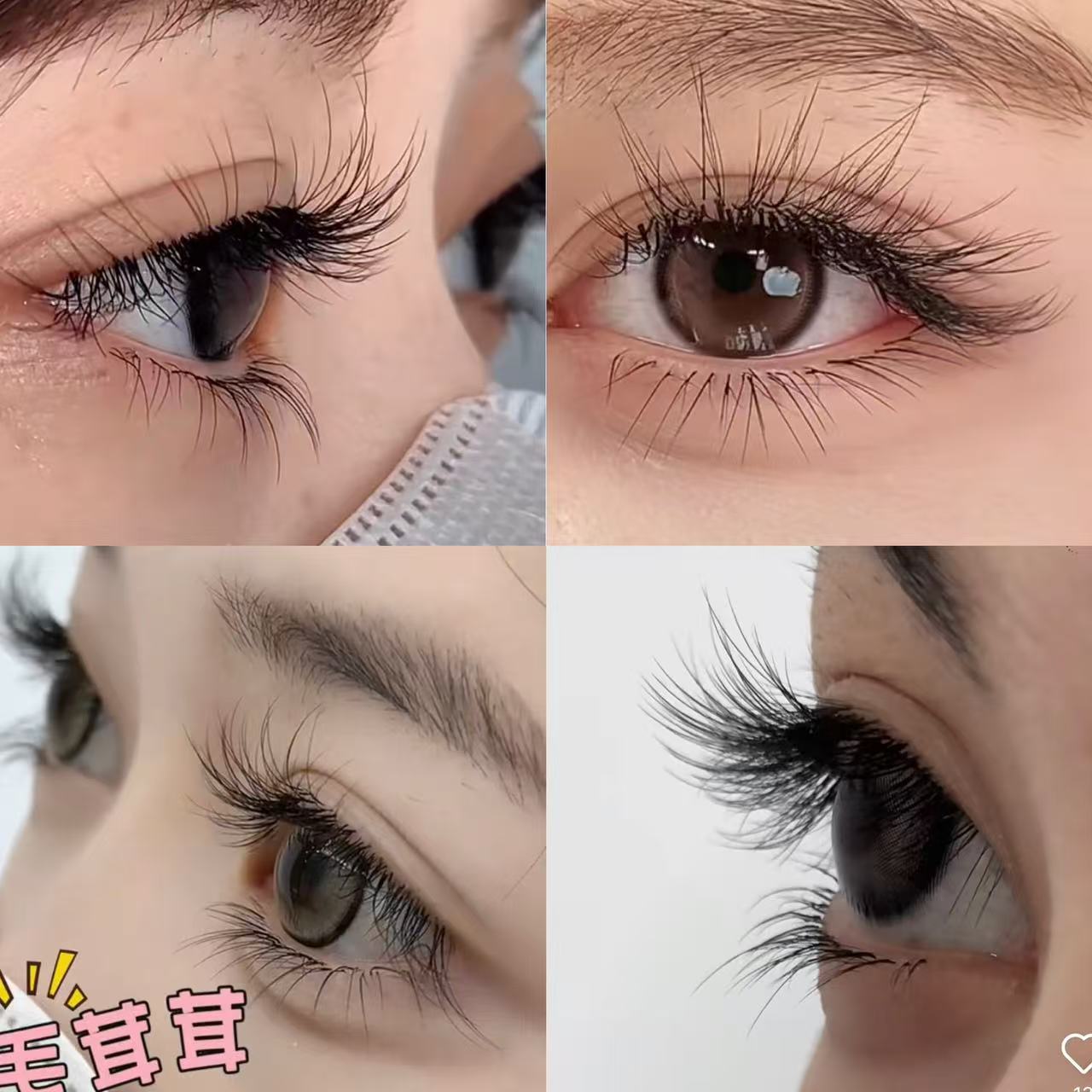 Double-layer fluffy lash with small flowers, B+C curl, three ...