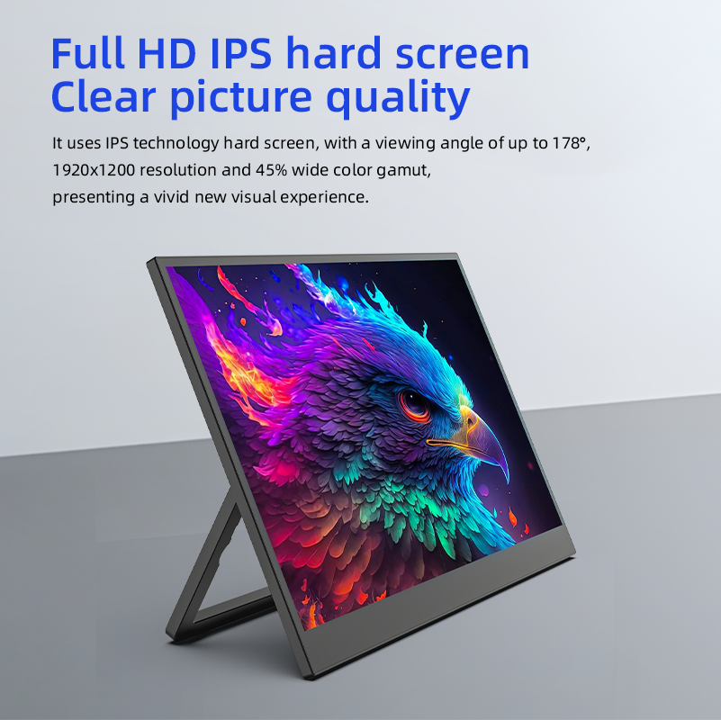 HDR Portable Display/Monitor 16