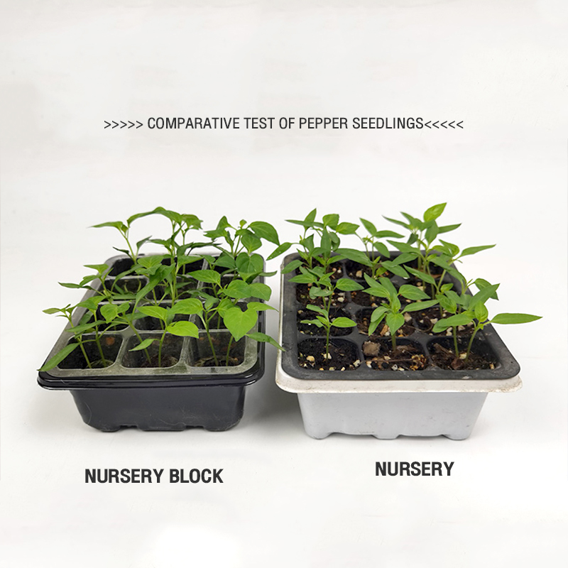 12-hole seedling box three-piece set of plastic transparent three-in ...