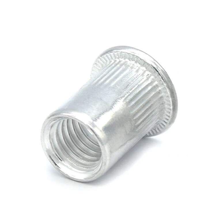 100pcs M5/M6 Stainless Steel Rivet Nut Flat Head Rivets Screw Threaded ...