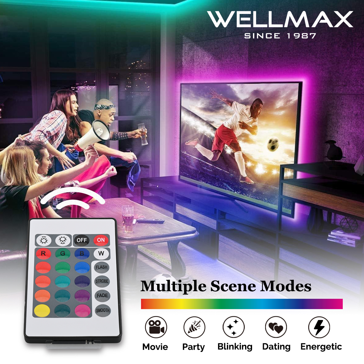 【Warranty】WELLMAX RGB LED Strip Light 5M 12V Decorative Lights Include ...