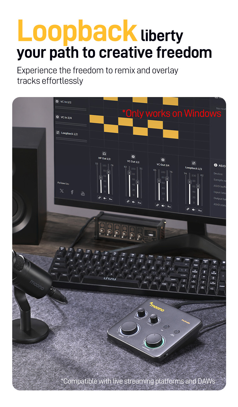 Maono PS22 Lite USB Audio Interface with XLR Input 24-bit/192kHz ...