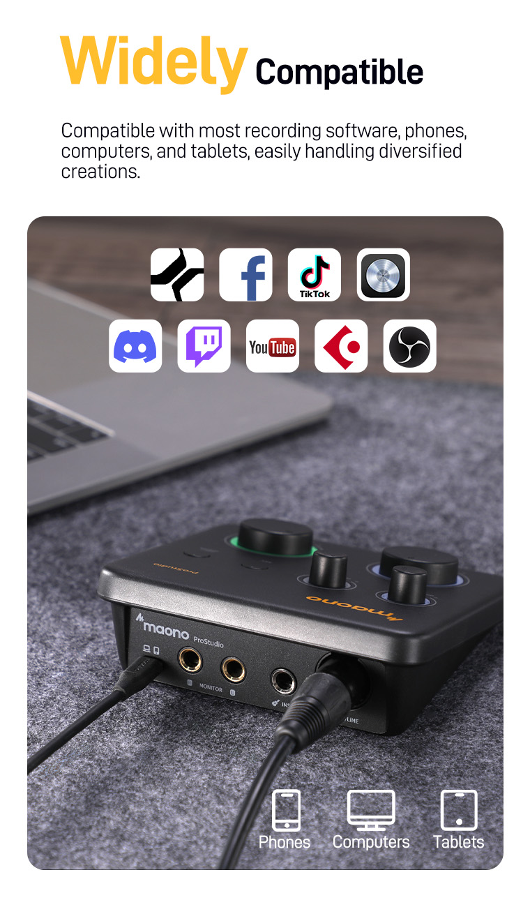 Maono PS22 Lite USB Audio Interface with XLR Input 24-bit/192kHz ...