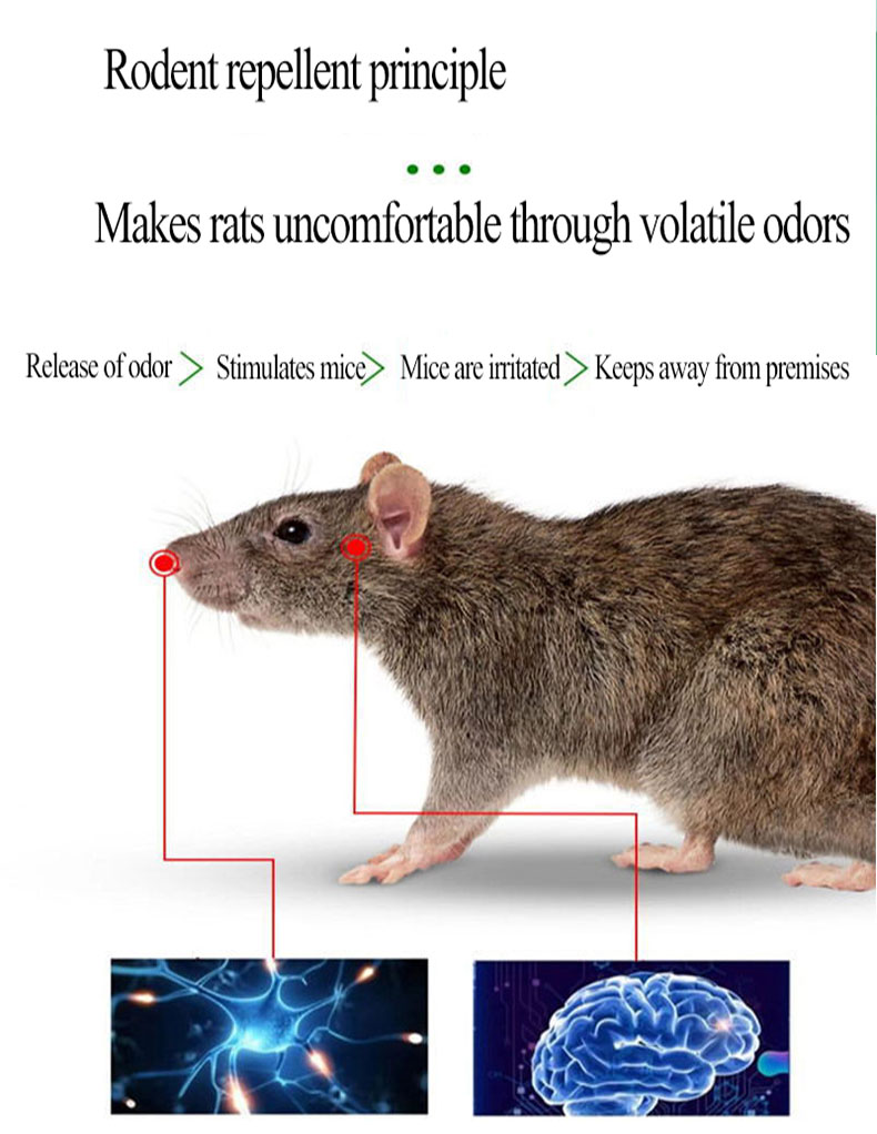 10000 meters rat-free Rat Repellent For Home 10pcs Rat Killer Plant ...