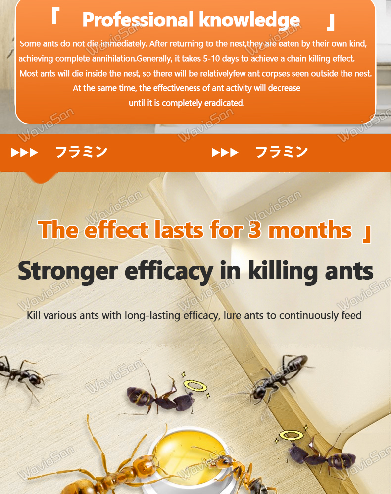 Japan Bestseller BS Ant killer Ant repellent for home Anti ants killer ...