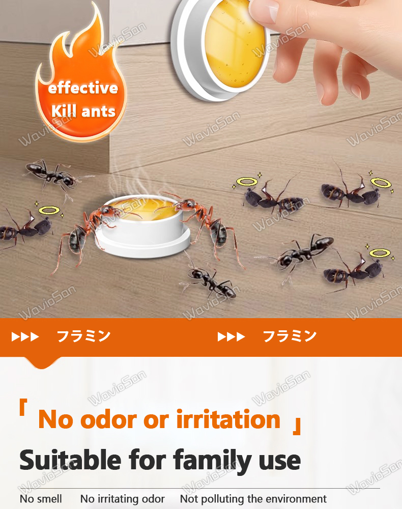 Japan Bestseller BS Ant killer Ant repellent for home Anti ants killer ...