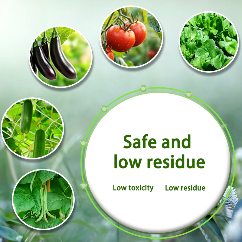 Leaf Miner Killer Insecticide 100ml Abamectin Pesticide for Plants ...
