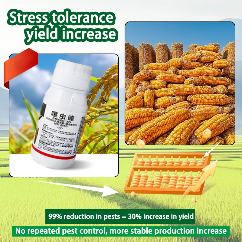 Thiamethoxam 100g Systemic Insecticide Miticide for Rice Controls ...