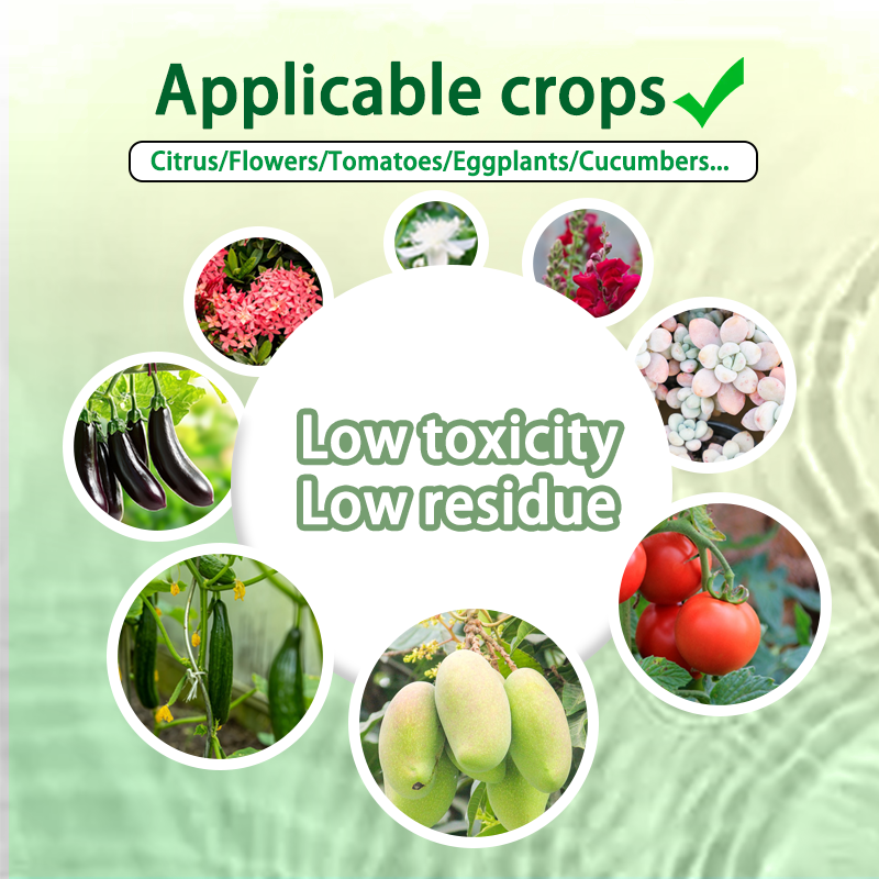 Thiamethoxam 100g Systemic Insecticide Miticide for Rice Controls ...