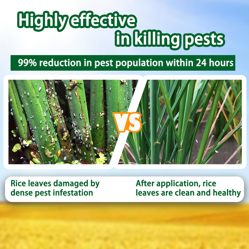 Thiamethoxam 100g Systemic Insecticide Miticide for Rice Controls ...