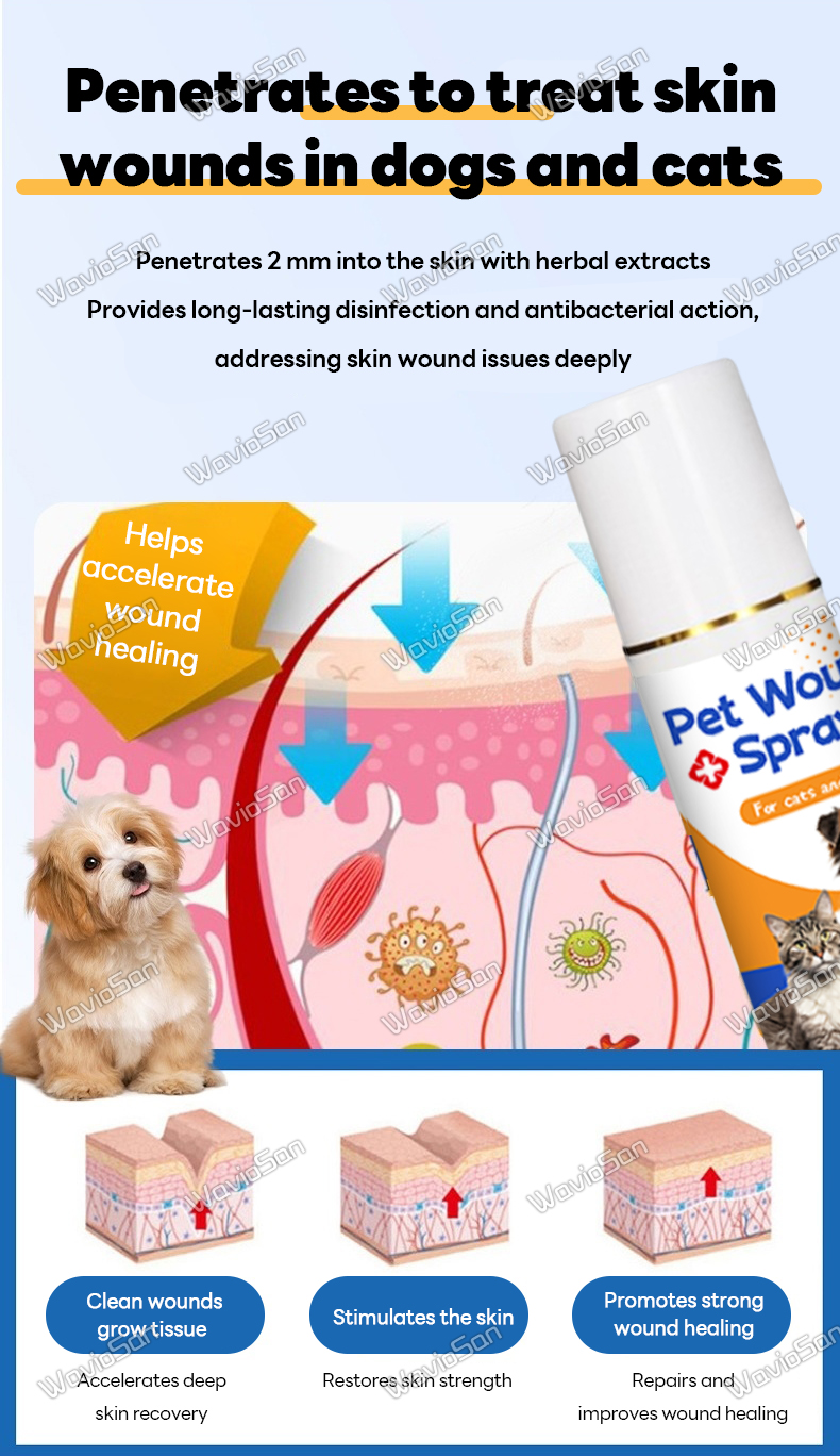 Heals wounds quickly FT Pet Wound Spray for Dogs 100ml Pet wound spray ...