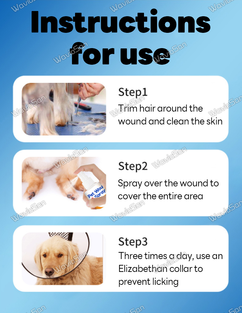 Heals wounds quickly FT Pet Wound Spray for Dogs 100ml Pet wound spray ...