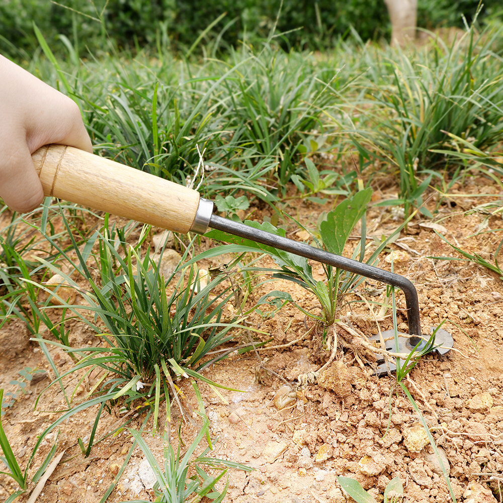 YRBWDYZDH Weed Puller Tool, Stainless Steel Weed Digger Hand Weeder ...