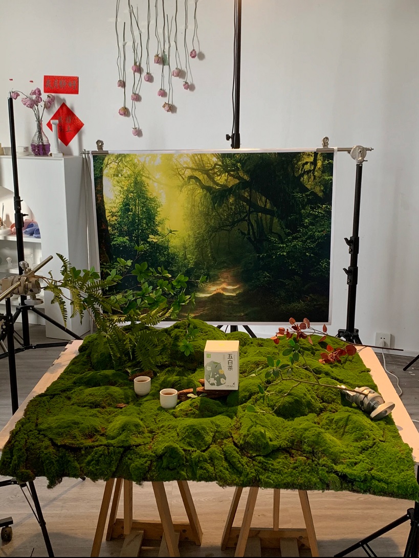 Artificial moss carpet fake moss grass rumput karpet lumut tiruan plant ...