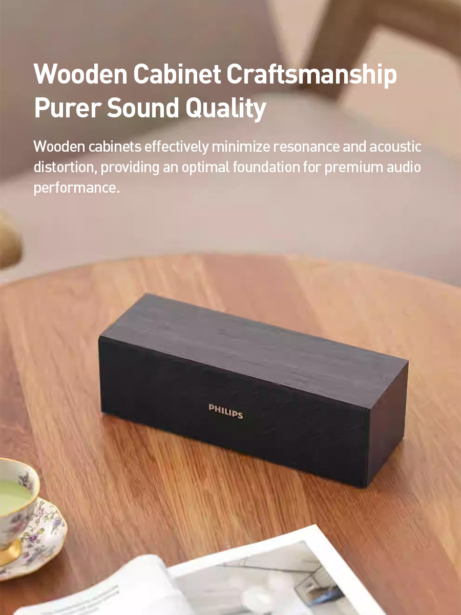 Philips SPA3609 Wood Bluetooth Desktop Speaker Set - Wired & Wireless ...