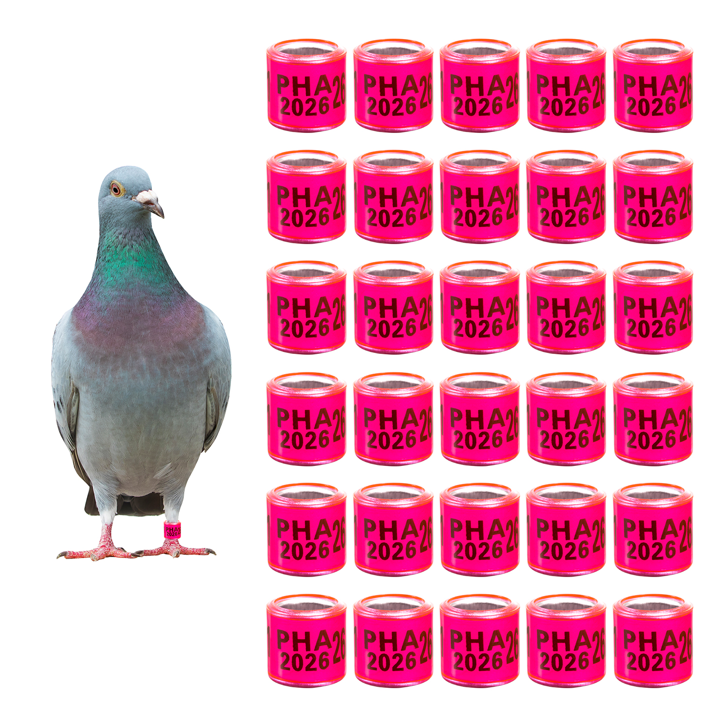 50Pcs 2026 Pigeon Foot Ring PHA Foot Ring ID8mm Parrot Foot Ring Bird ...