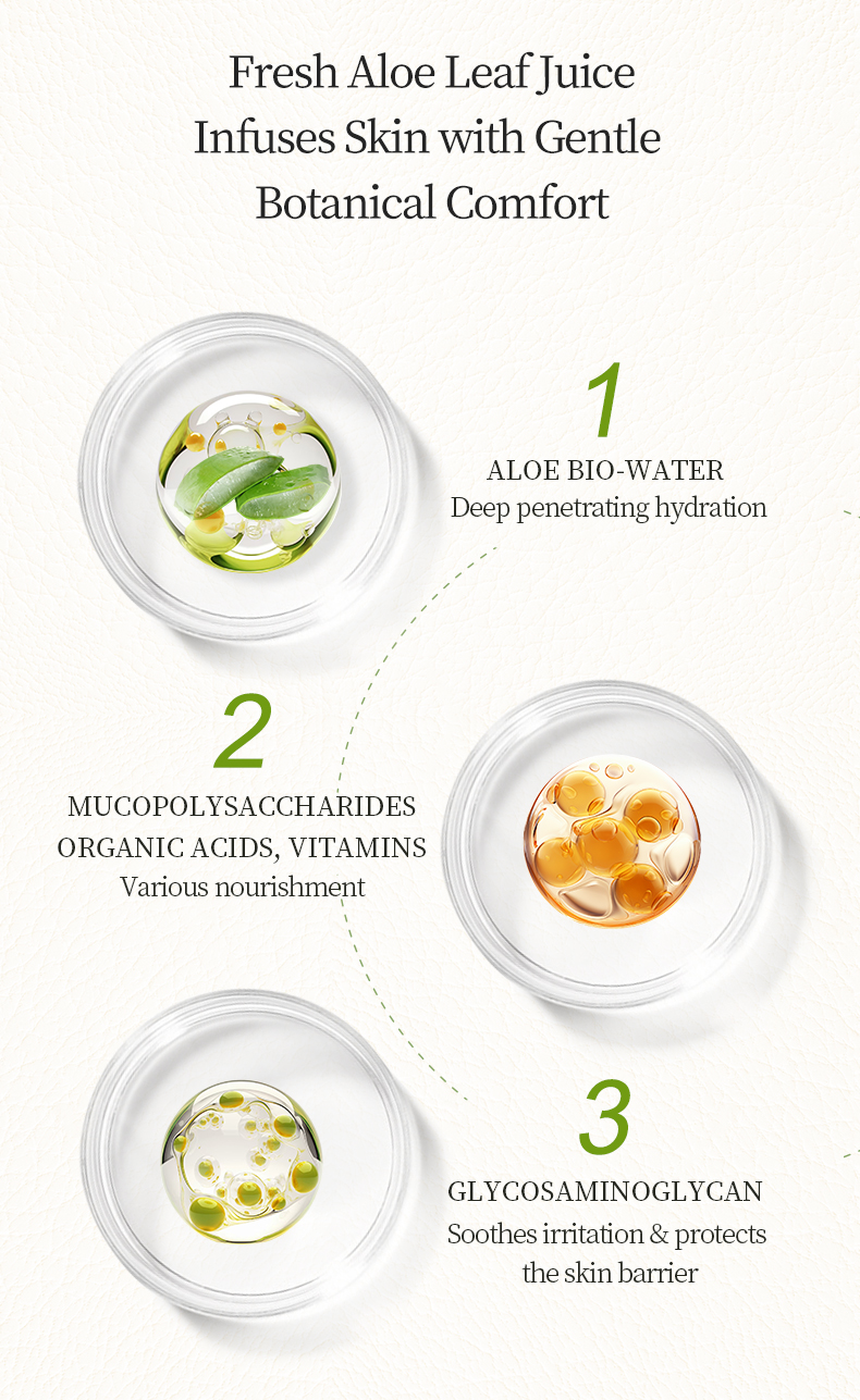 ALODERMA Pure Aloe Vera Skin Hydrator, 99.8% Pure Aloe Leaf Juice ...