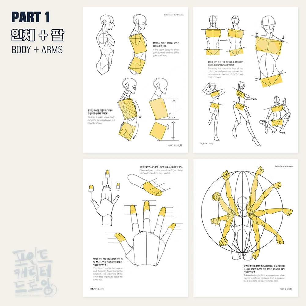 Figure Drawing Exercises Book For Artists Structure Ideal For Artists ...