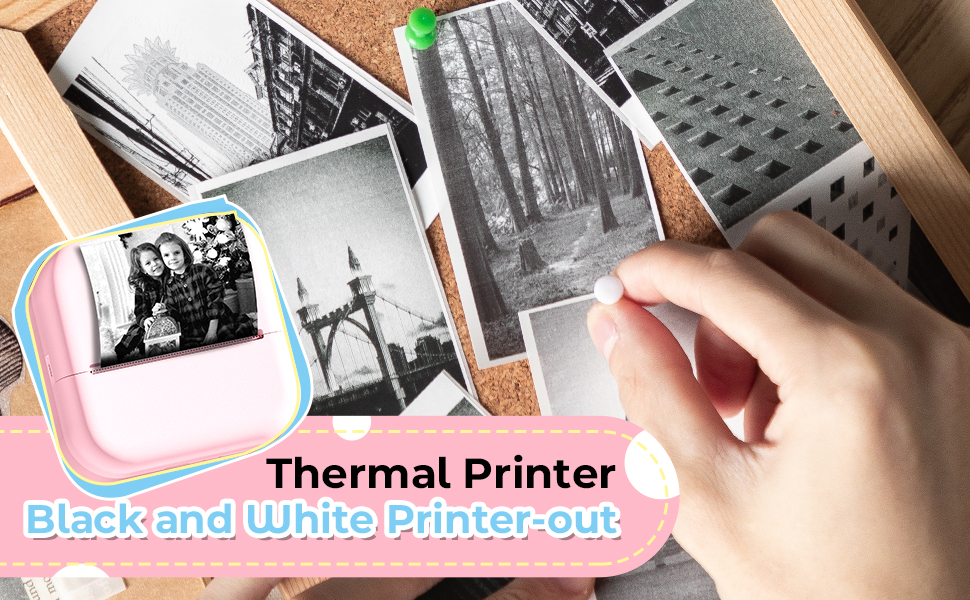 Phomemo M02L Photo Printer, Bluetooth Portable Inkless Sticker/Label ...