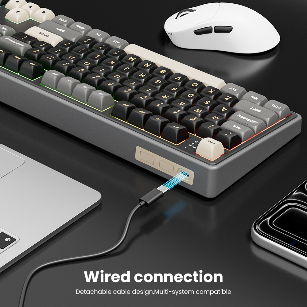 Royal Kludge RK R108 100% Layout RGB Wired Professional Game Hotswap ...