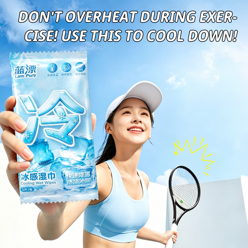 【BUY 5 TAKE 5 】LamPure 10 Packs Cool Cleansing Wet Wipes Disposable for ...