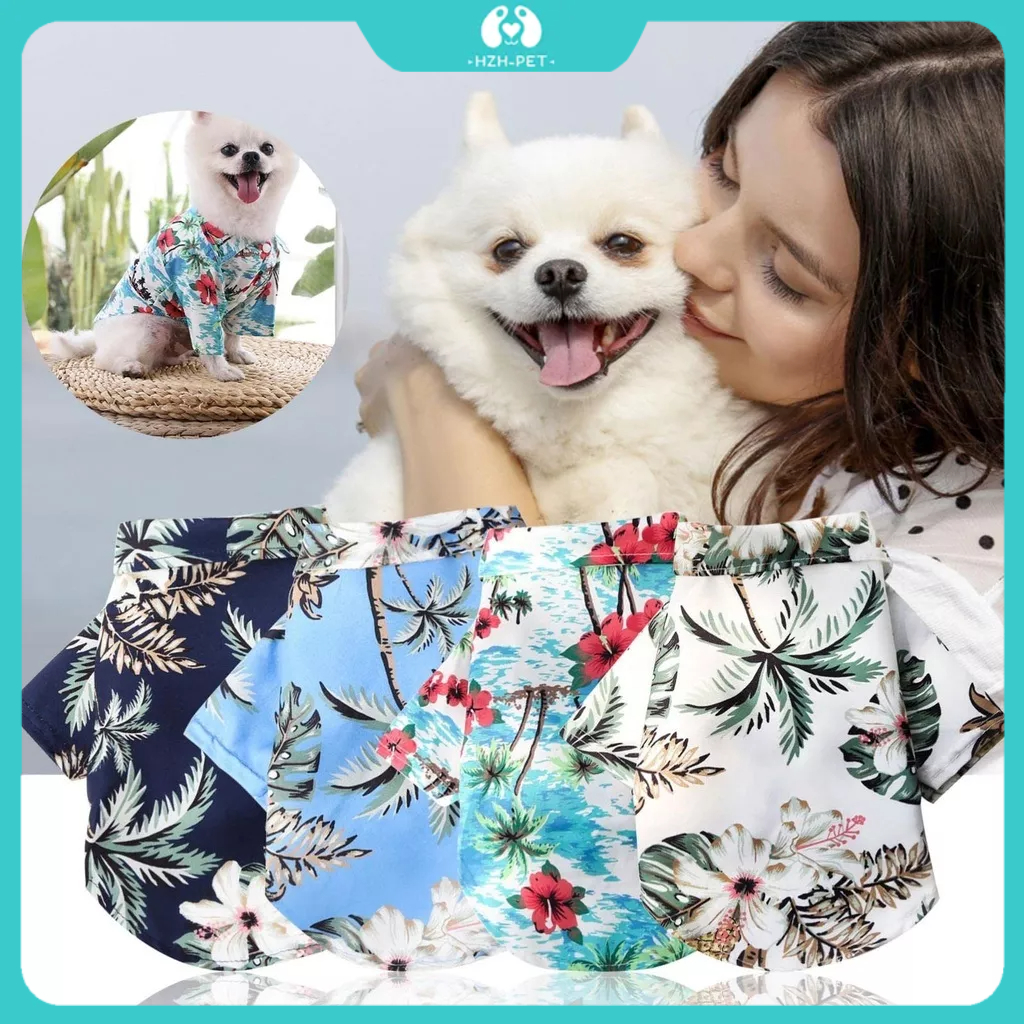 With Pet Face Amazon Fetch Style: The Fun And Flair Of A Dog