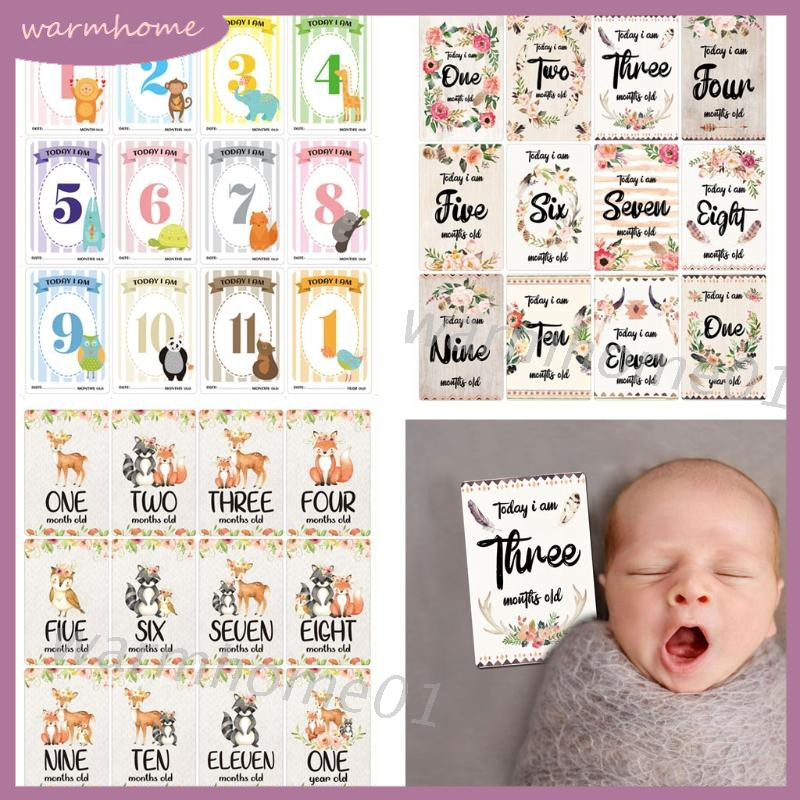 WM 12 Sheet Baby Monthly Milestone Cards Birth to 12 Months Photo Prop ...