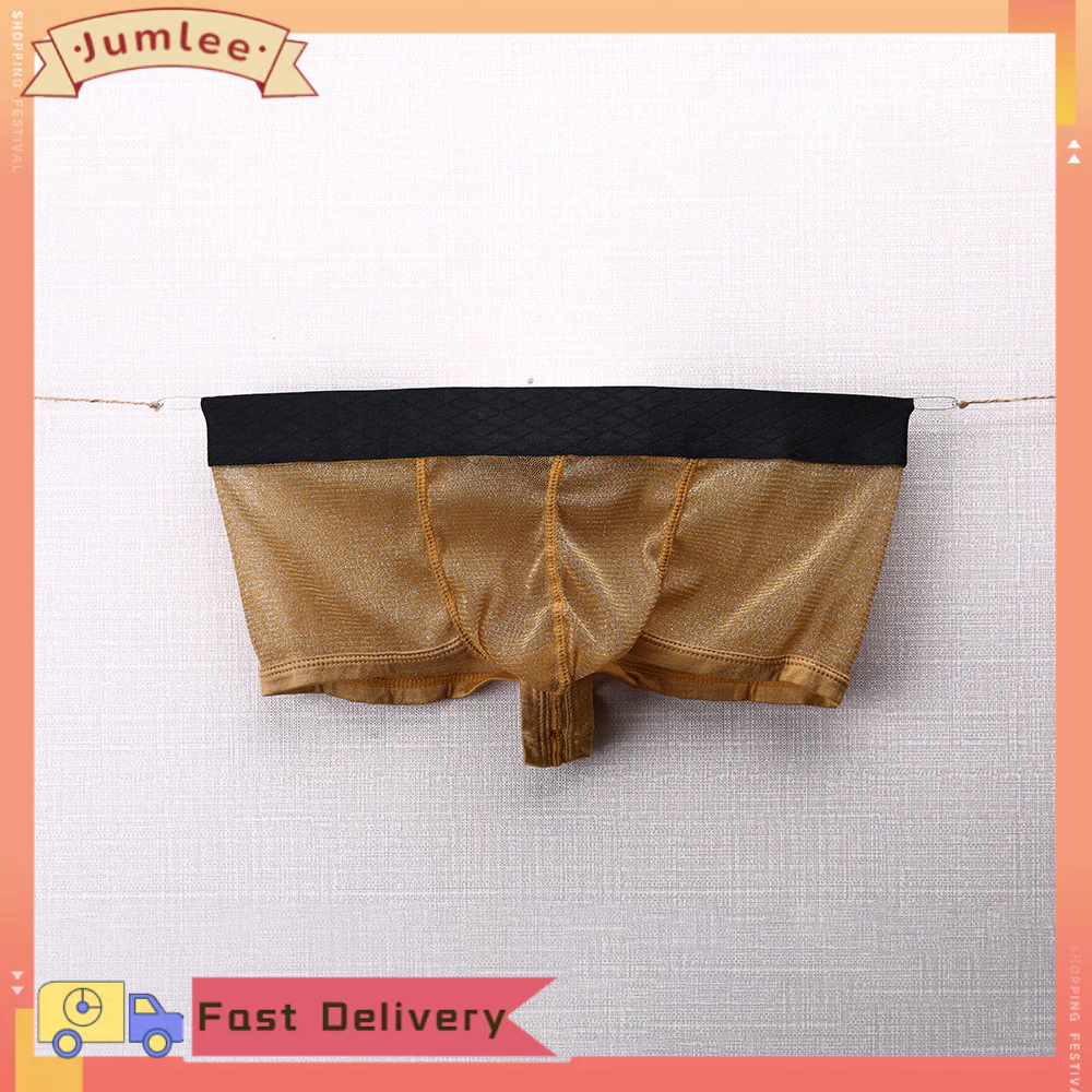 Men Slim Underwear See Through Fine Mesh Pouch Bag Low Waist Boxer