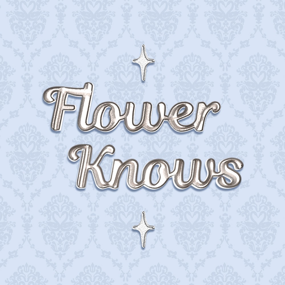 Flower Knows Swan Ballet Loose Powder - #01 Snow Crystal 12g