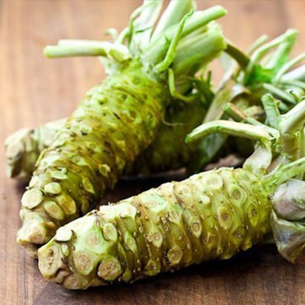 Wasabi Seeds Radish Seeds Shopee Philippines