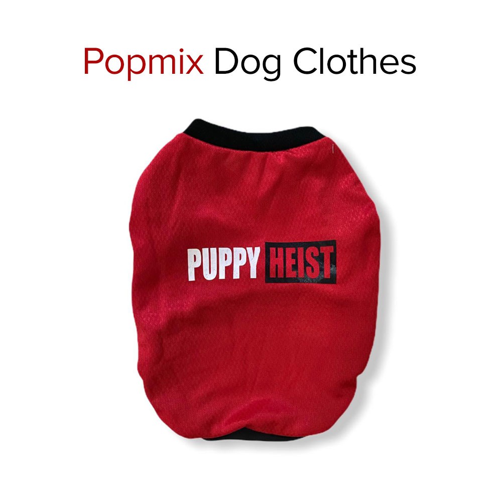 Money heist 2025 dog costume