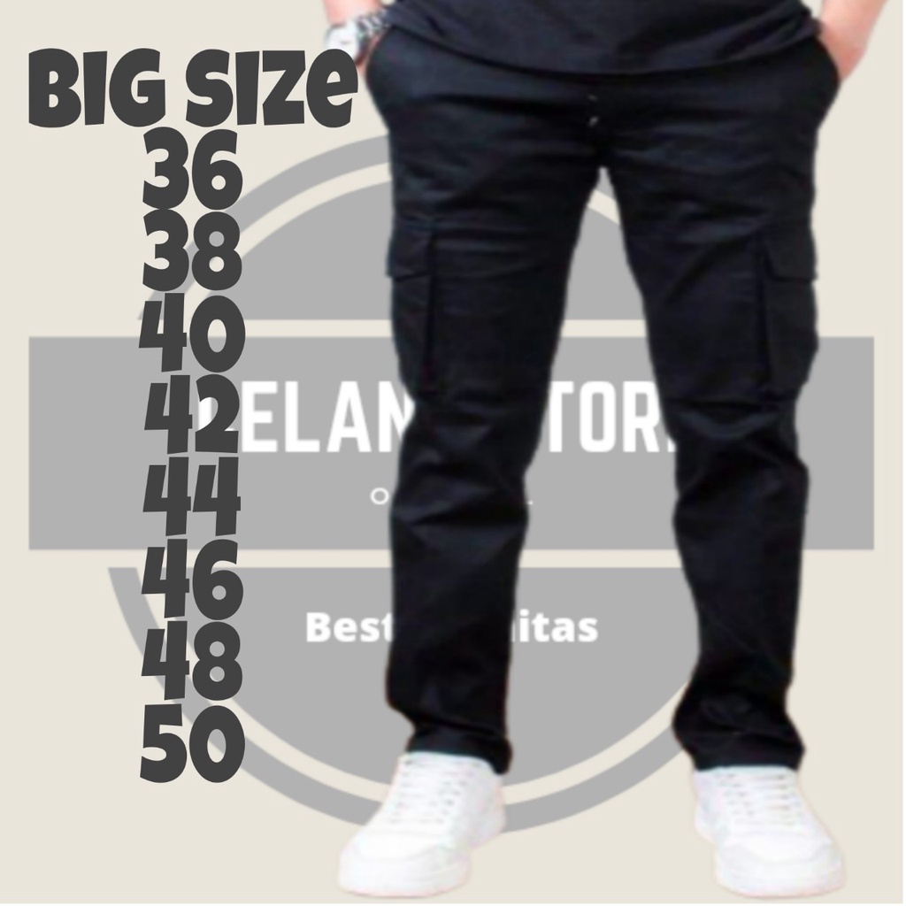 insMen's Long cargo Pants / Men's big size cargo Pants 3650 / Men's