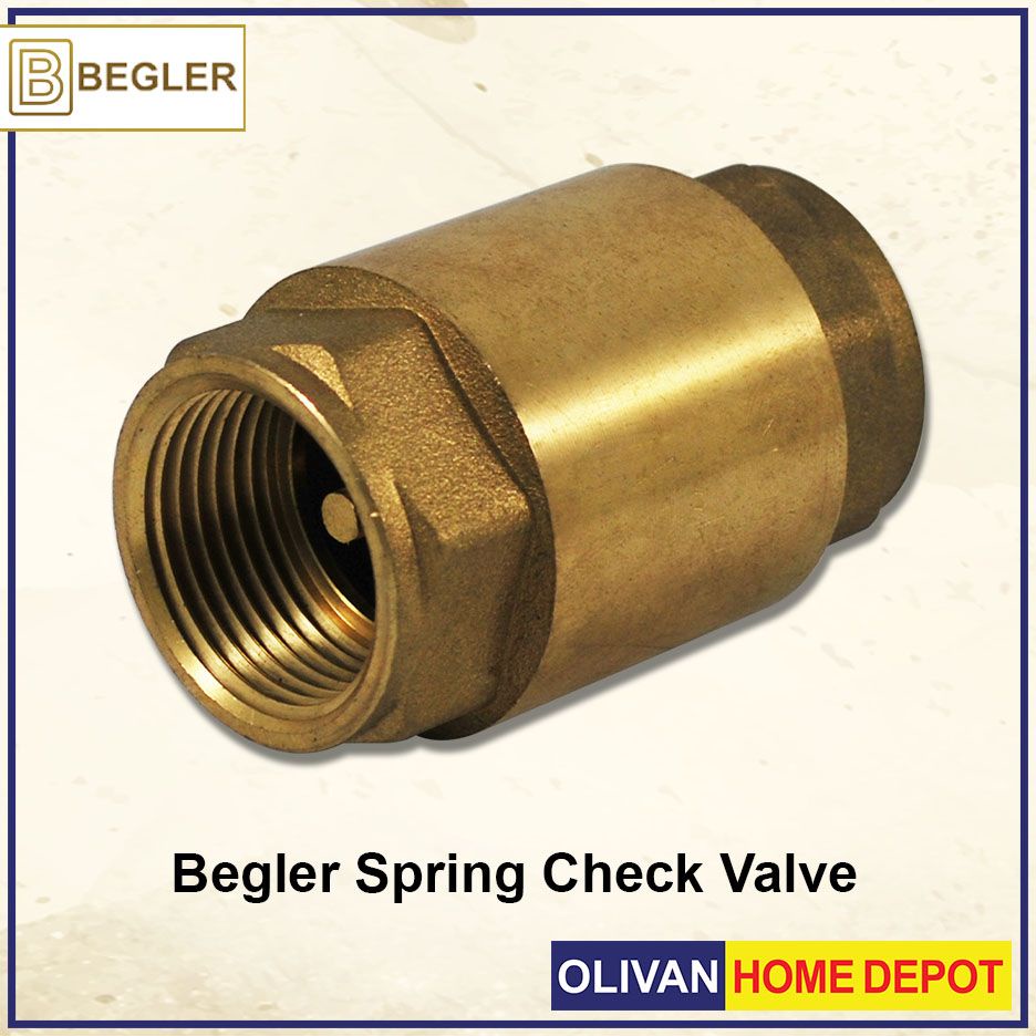 WASSERNISON Begler Brass One-way Thread Spring Check Valve BCV 82/80/81 ...