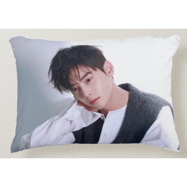 CHA EUN WOO MINI PILLOW 8x11 INCHES Shopee Philippines